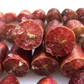 Pink Sunset Australian Finger Lime Budwood citrus plant material online shopping