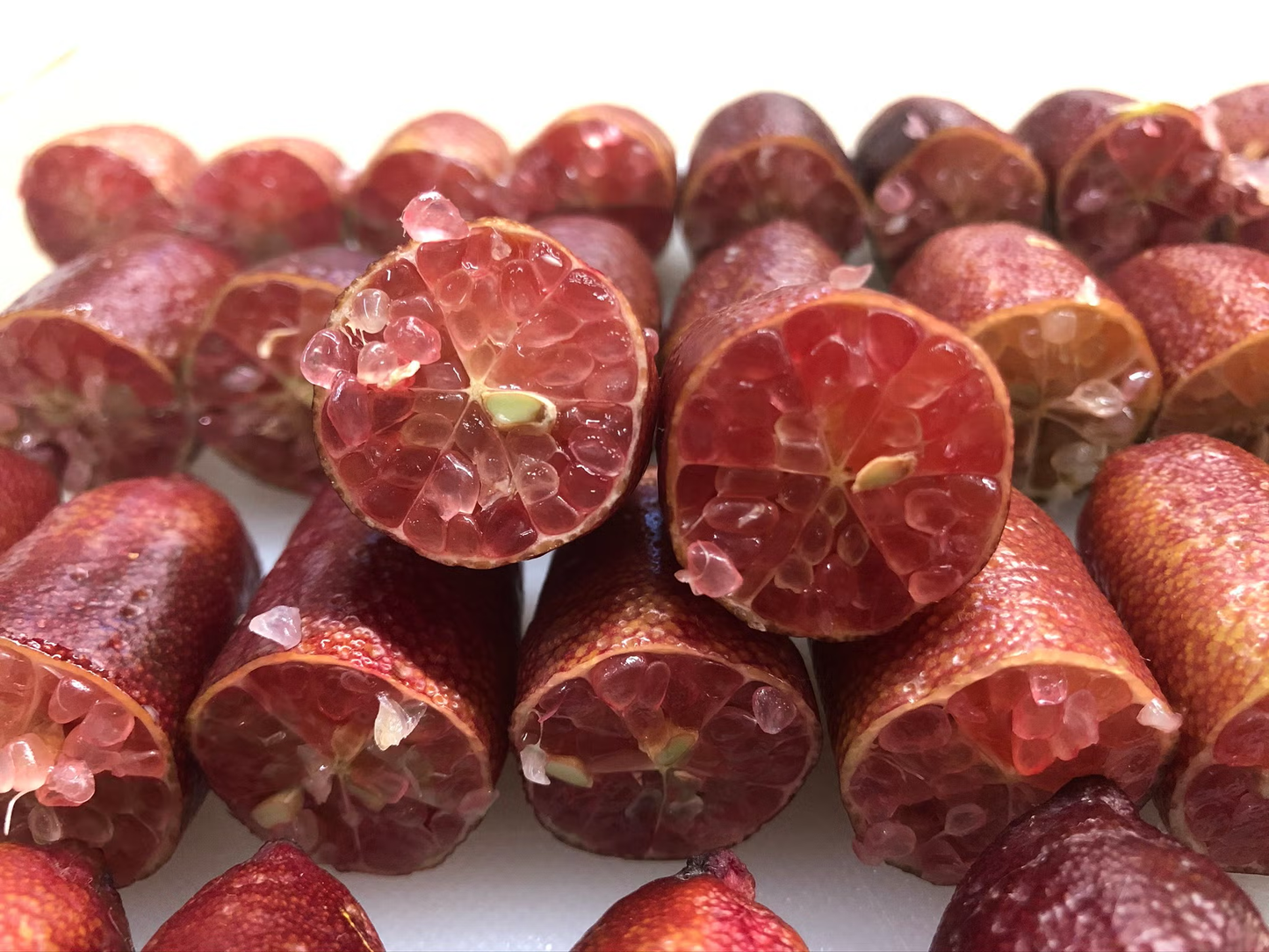 Pink Sunset Australian Finger Lime Budwood citrus plant material online shopping