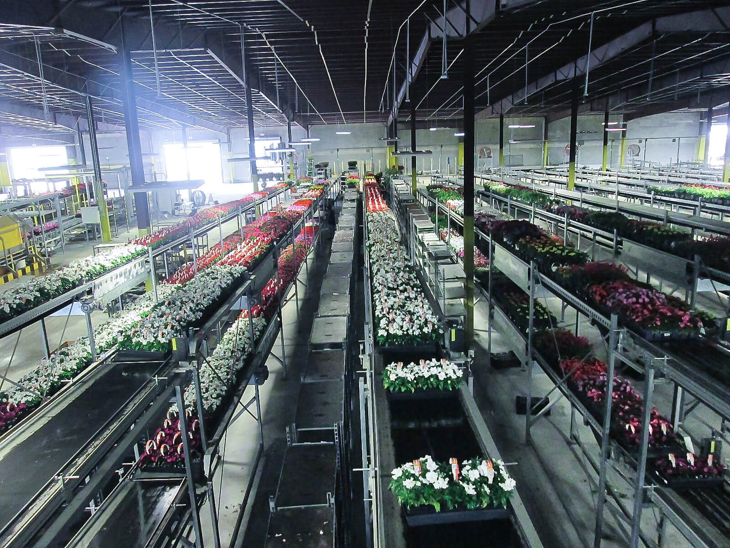 Viscon Buffering & Shipping Internal Transport Automation