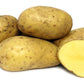 Carola Seed Potato online shopping