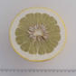 Kao Nun Pummelo Budwood citrus plant material online shopping