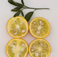 Carrizo Citrange Trifoliate Hybrid Budwood citrus plant material online shopping