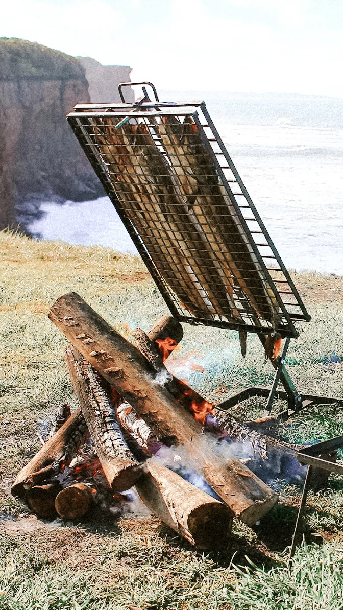 Outdoor open fire cooking grilling accessories