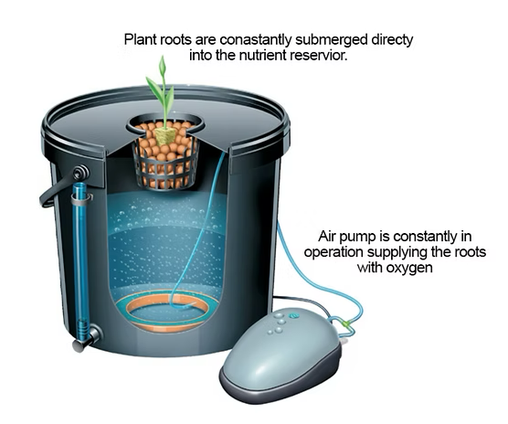 Active Aqua Root Spa Deep Water Culture Bato Bucket Kit