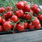 Principe Borghese Tomato