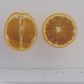 Orange à Feuilles Laciniées Blood Orange Budwood citrus plant material online shopping