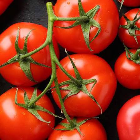Glacier Organic Tomato