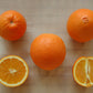 Carter Navel Orange Budwood citrus plant material online shopping