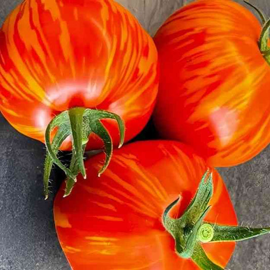 Red Zebra Tomato Seeds online shopping