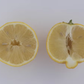 Pomona Sweet Lemon Budwood citrus plant material online shopping