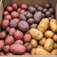 Clancy F1 Pelleted Potato Seeds online shopping