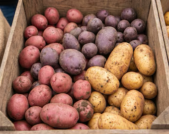Clancy F1 Pelleted Potato Seeds online shopping