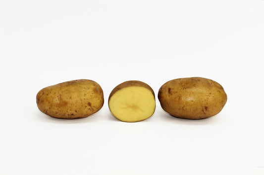 Edison Seed Potato online shopping
