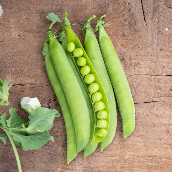 PLS 595 Organic Shelling Pea