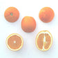 Washington Sanguine Blood Orange Budwood citrus plant material online shopping