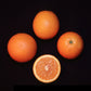 Rhode Red Valencia Orange Budwood citrus plant material online shopping