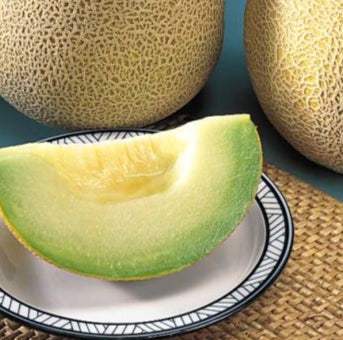 Diplomat F1 Melon