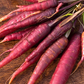 Cosmic Purple Carrot