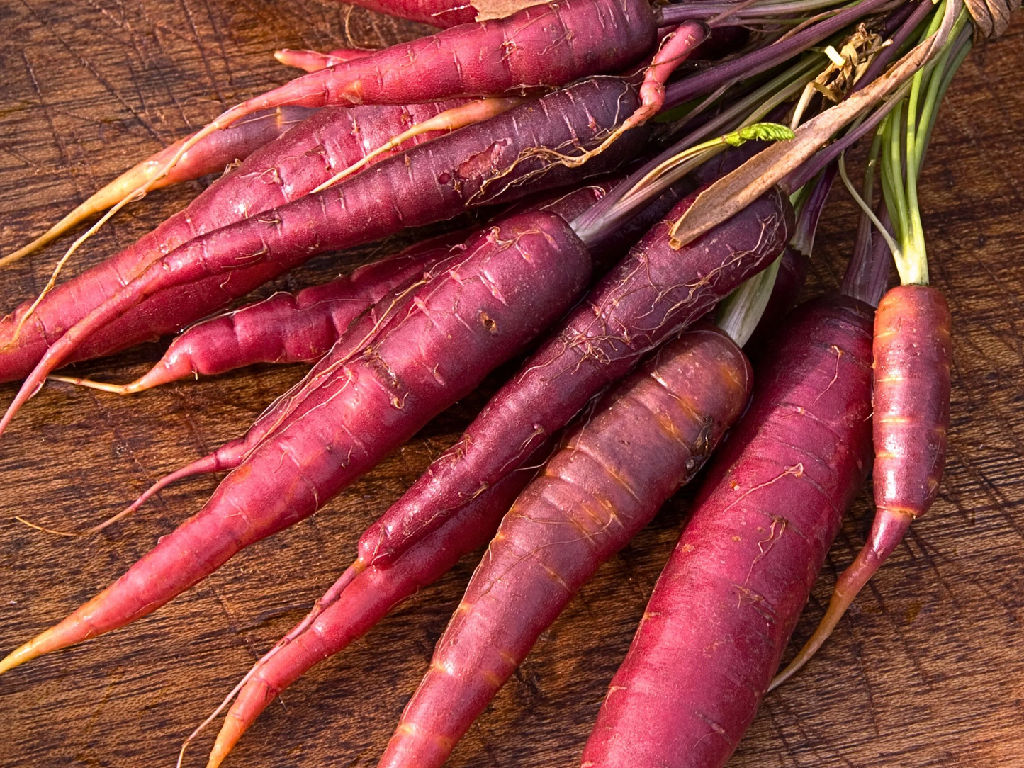 Cosmic Purple Carrot