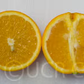 Frost Washington Navel Orange Budwood citrus plant material online shopping