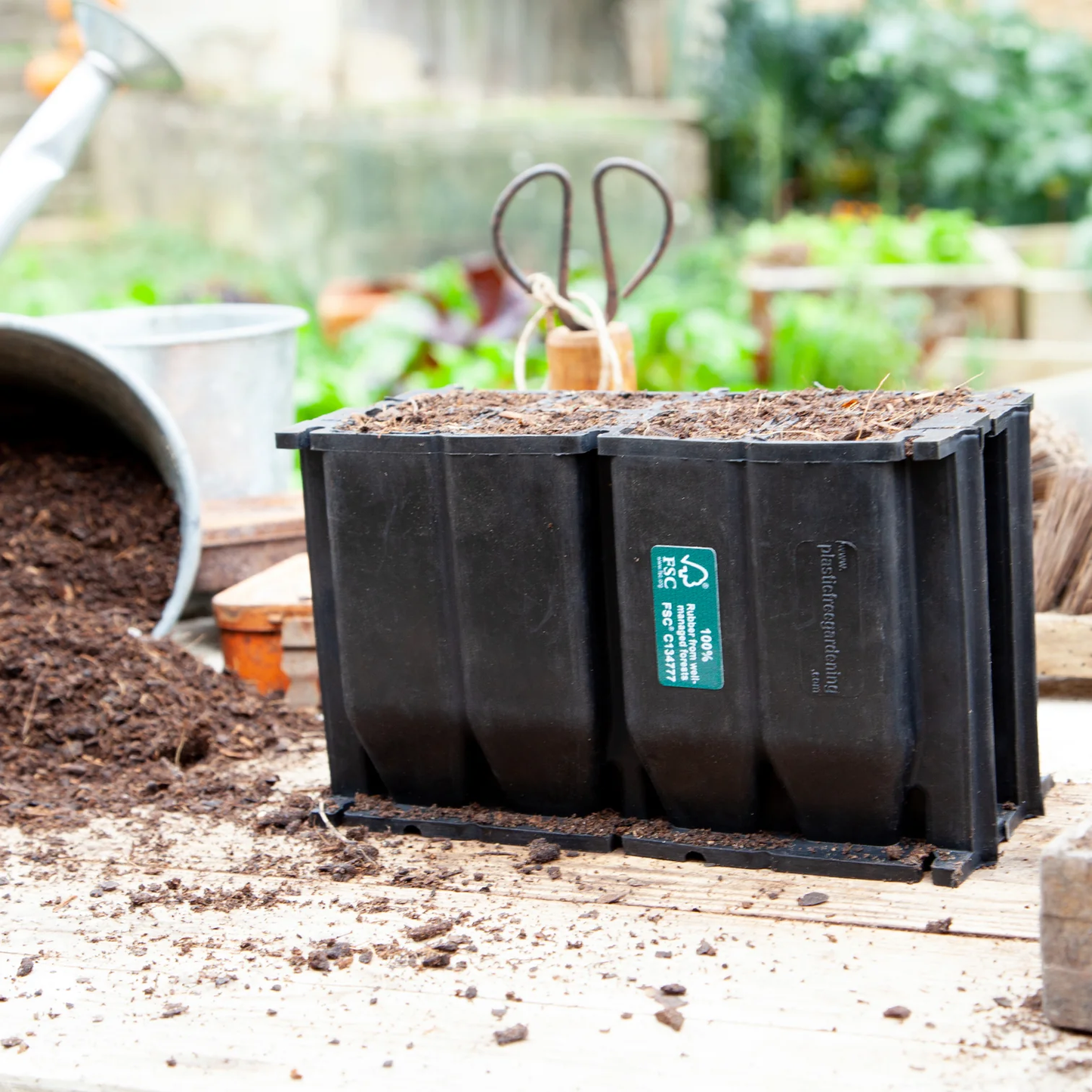 RootCoach™ Natural Rubber Plug Tray