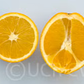 Navelate Navel Orange Budwood citrus plant material online shopping
