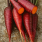 Dragon Carrot