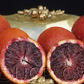 Smith Red Blood Orange Budwood citrus plant material online shopping
