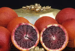 Smith Red Blood Orange Budwood citrus plant material online shopping