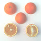 Pineapple Sweet Orange Budwood citrus plant material online shopping