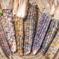 Glass Gem Organic Corn