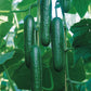 Olympian F1 Cucumber Seeds online shopping