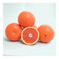 Cara Cara Pigmented Navel Orange Budwood citrus plant material online shopping