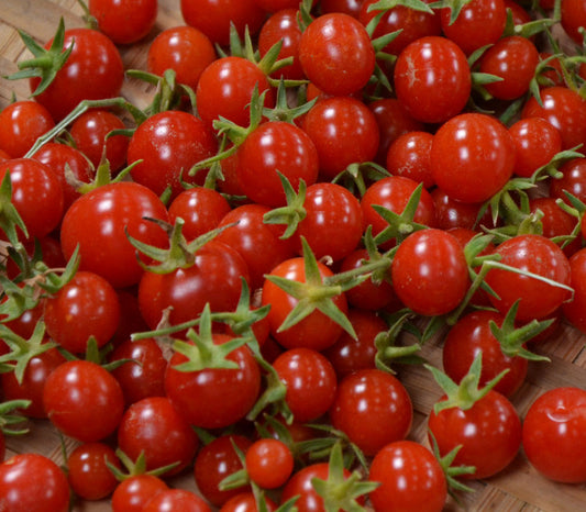 Sweet Million Tomato Seeds online shopping