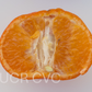 Tieu Mandarin Budwood citrus plant material online shopping