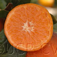 Tango Mandarin Plant citrus plant material online shopping