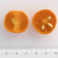 Variegated Calamondin Budwood citrus plant material online shopping