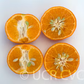 Rubidoux Mandarin Budwood citrus plant material online shopping