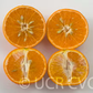 Nova Mandarin Budwood citrus plant material online shopping