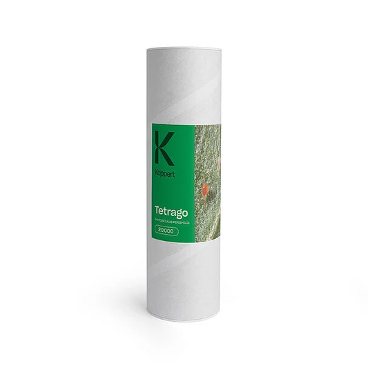 Tetrago Predatory Mite