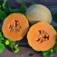 Halona F1 Melon