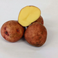 Red Gold Potato online shopping