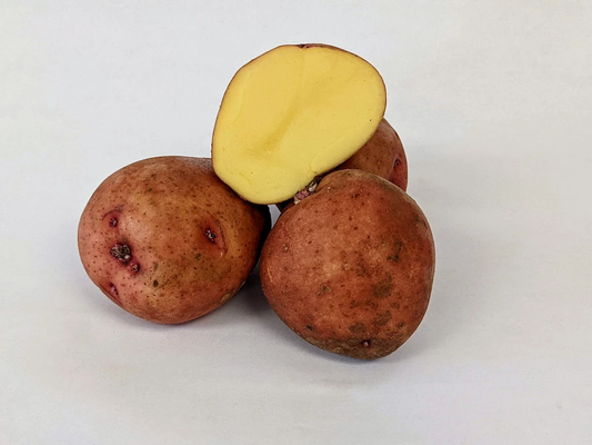 Red Gold Potato online shopping