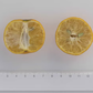 Chinotto Sour Orange Hybrid Budwood citrus plant material online shopping