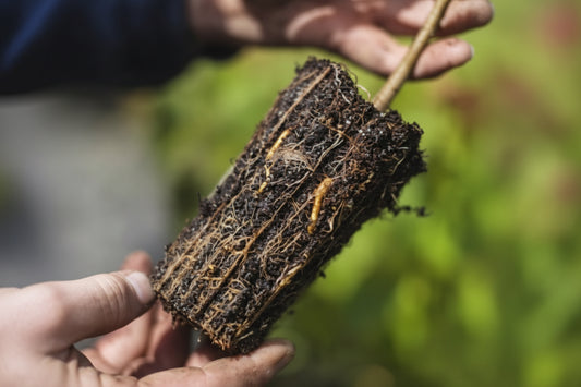 RediRoot™ Air Pruning Pots and Propagation Trays