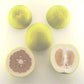 Rojo Blanco Pummelo Hybrid Budwood citrus plant material online shopping