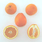 Ambersweet Orange Budwood citrus plant material online shopping