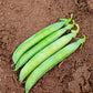 Sabre Shelling Pea