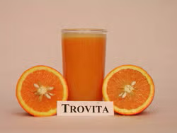 Trovita Sweet Orange Budwood citrus plant material online shopping