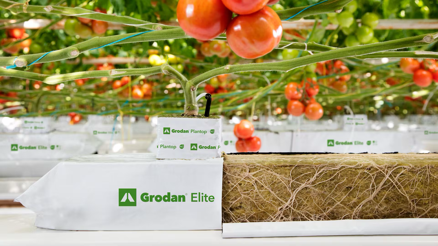 Grodan Elite Slab Tomato Cultivation Rock Wool Hydroponics Substrate